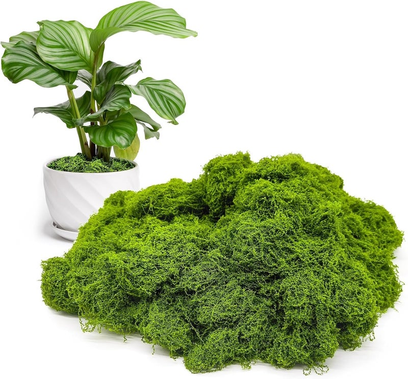 Aspamms Store Fake Green Moss for Potted Plants Indoor, 7oz Artificial Moss for Crafts, Faux Moss Decor for Fairy Garden, DIY Decorative, Model Making, Walls, Glass Containers, Home - Image 1